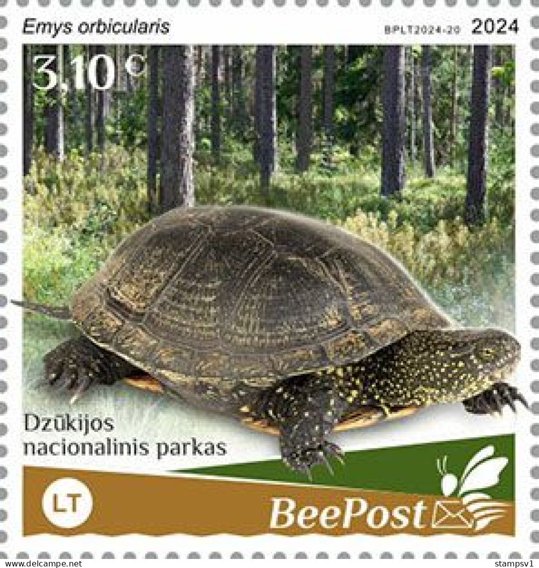 BeePost 2024 Turtles. (LT24-20) PRIVATE POST ISSUE - Schildpadden