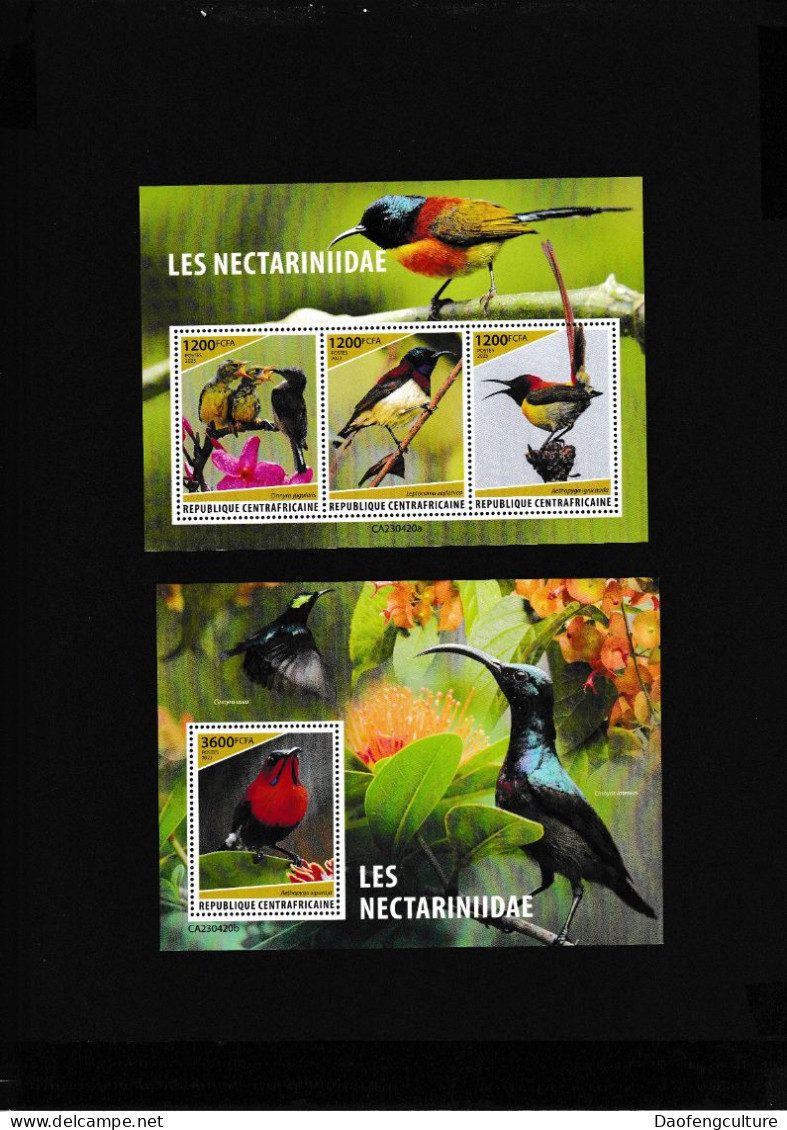 Central African Republic 2023 Birds - Centrafricaine (République)