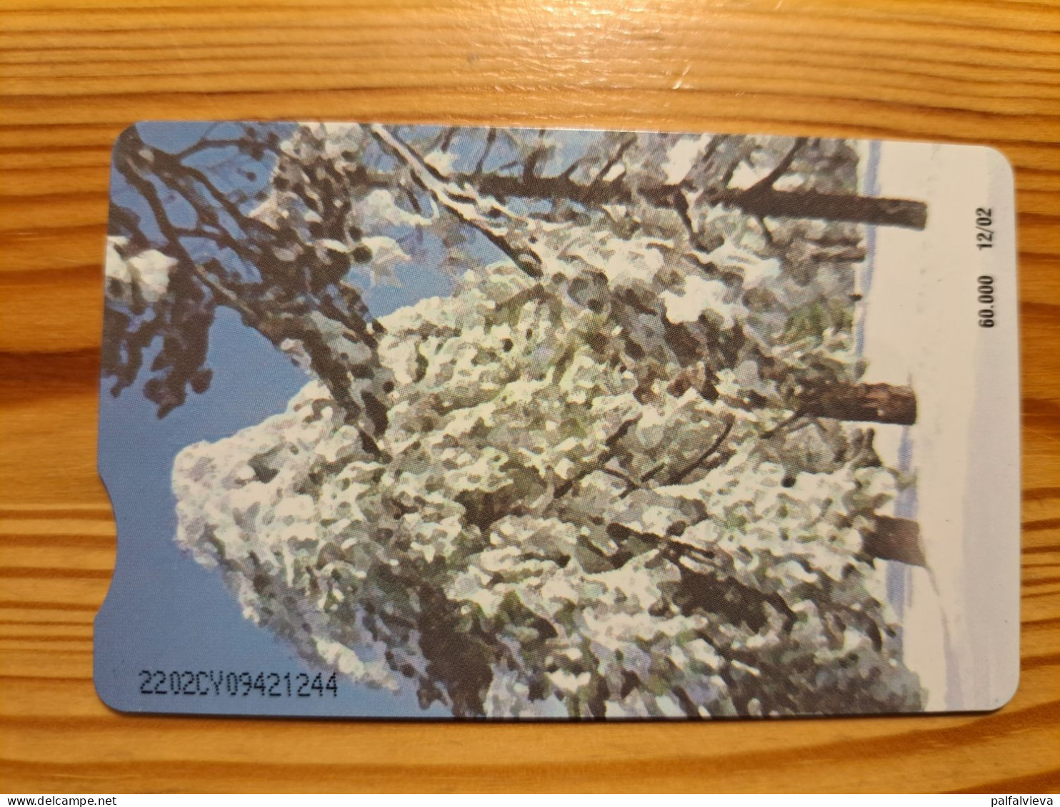 Phonecard Cyprus - Winter - Cipro