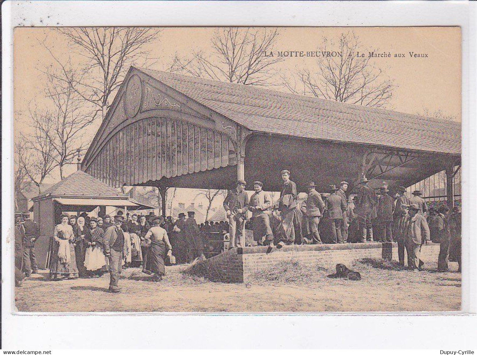 LA MOTTE-BEUVRON: Le Marché Aux Veaux - état - Lamotte Beuvron