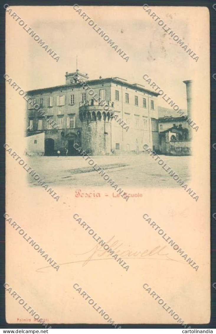 Pistoia Pescia Scuola Cartolina ZB4505 - Pistoia