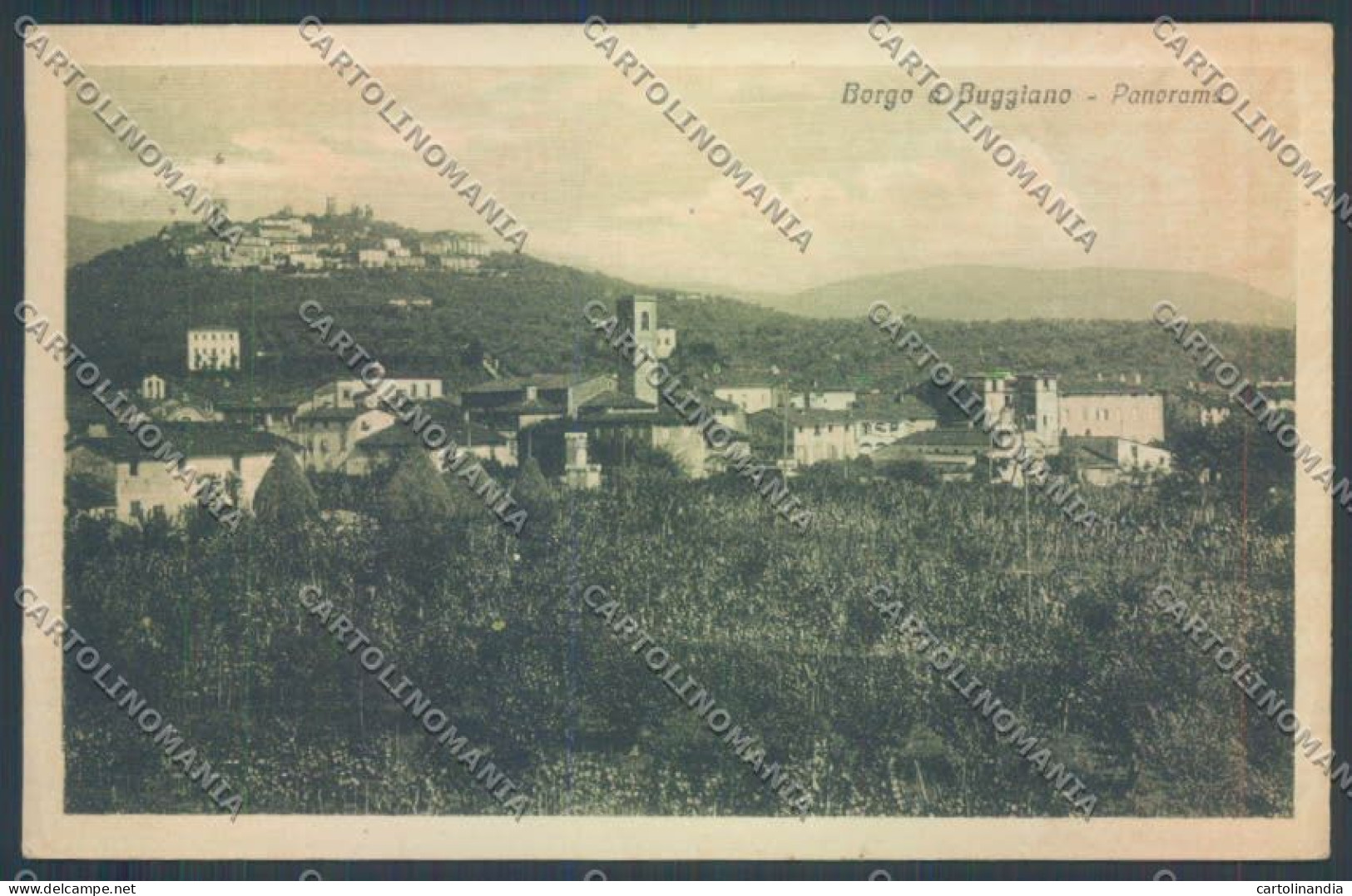 Pistoia Borgo A Buggiano Cartolina ZB4549 - Pistoia