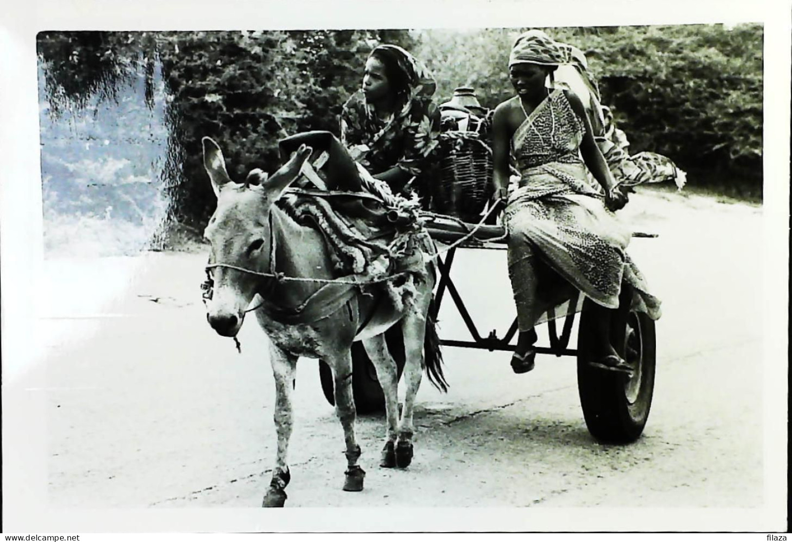 Italy - Military - Army Post Office In Somalia - ONU - ITALFOR - IBIS - Paracadutisti Folgore - S6649 - 1991-00: Marcophilie