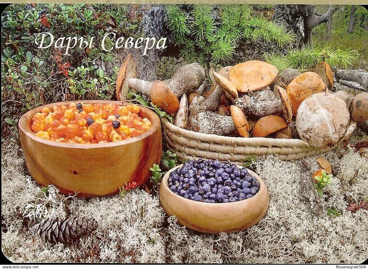 RUSSIAN POCKET CALENDAR - YEAR 2020 - MUSHROOMS - Small : 2001-...