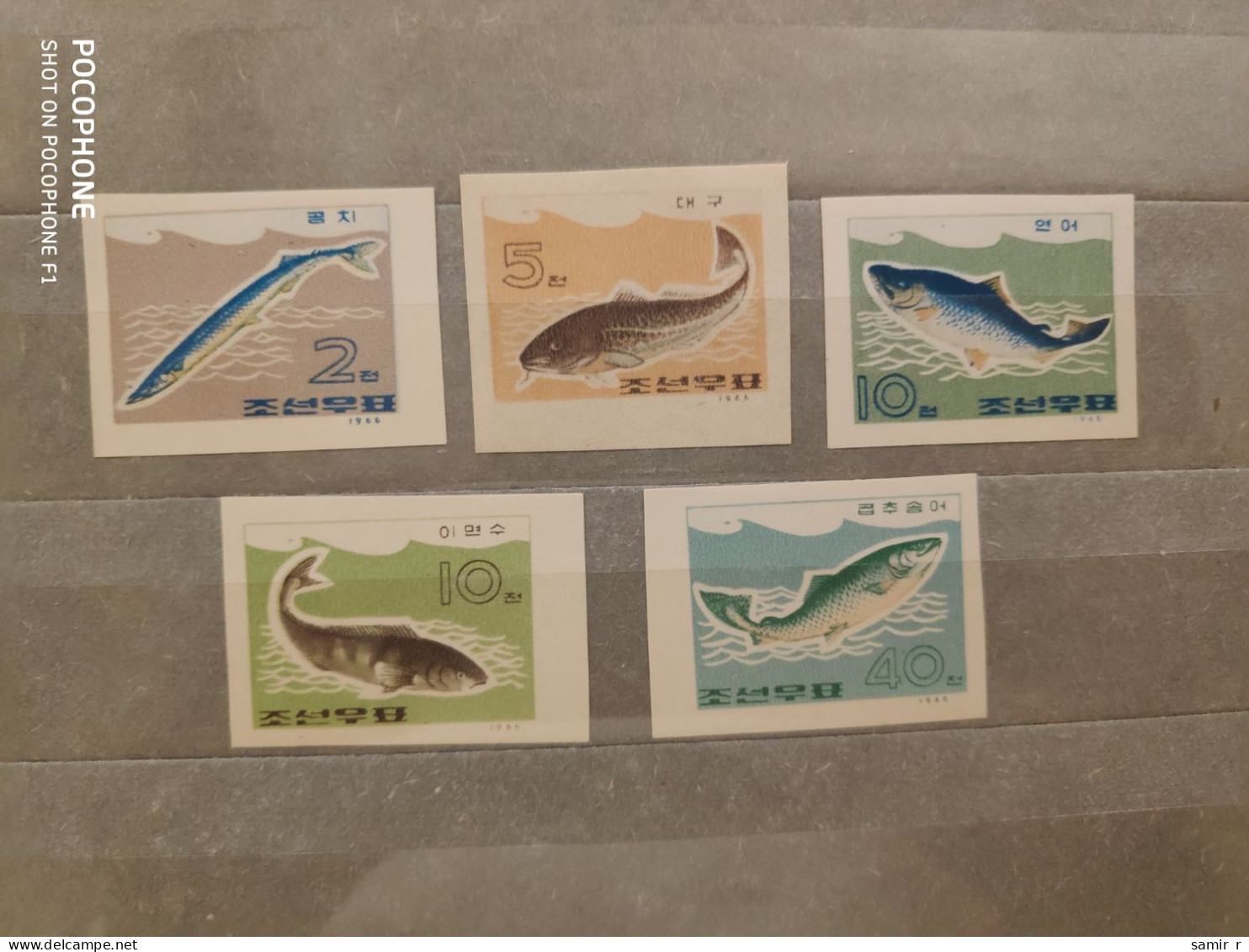 1966	Korea	Fishes  (F94) - Corea Del Nord