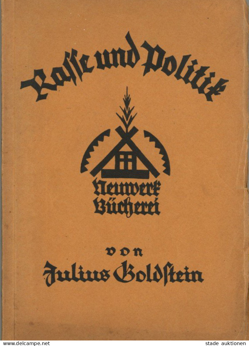 Judaika Buch Rasse Und Politik Von Prof. Goldstein, Julius 1921, Neuwerk-Verlag Schlüchtern, 157 S. II Judaisme - Judaika