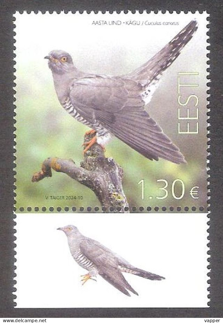 Bird Of The Year -the Common Cuckoo Estonia 2024 MNH  Stamp With Label Mi 1103 - Cuckoos & Turacos