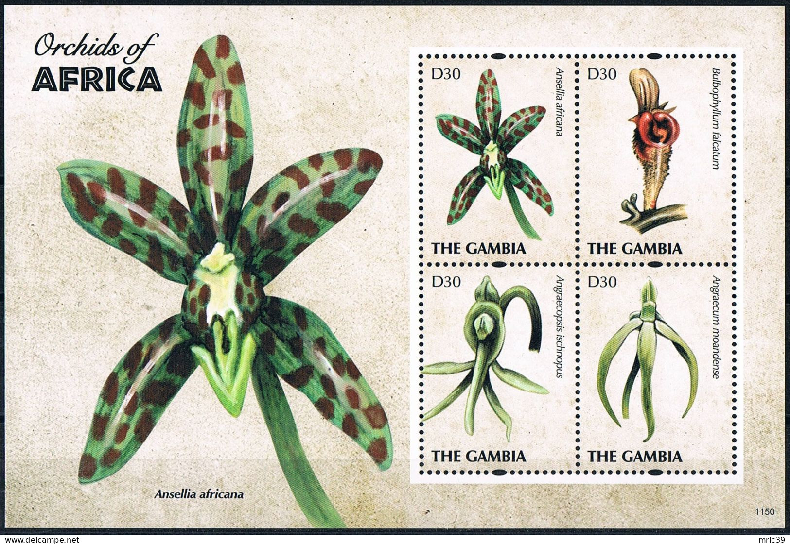 Bloc Sheet Fleurs Orchidées Flowers Orchids  Neuf  MNH **  Gambie Gambia 2011 - Orchidee