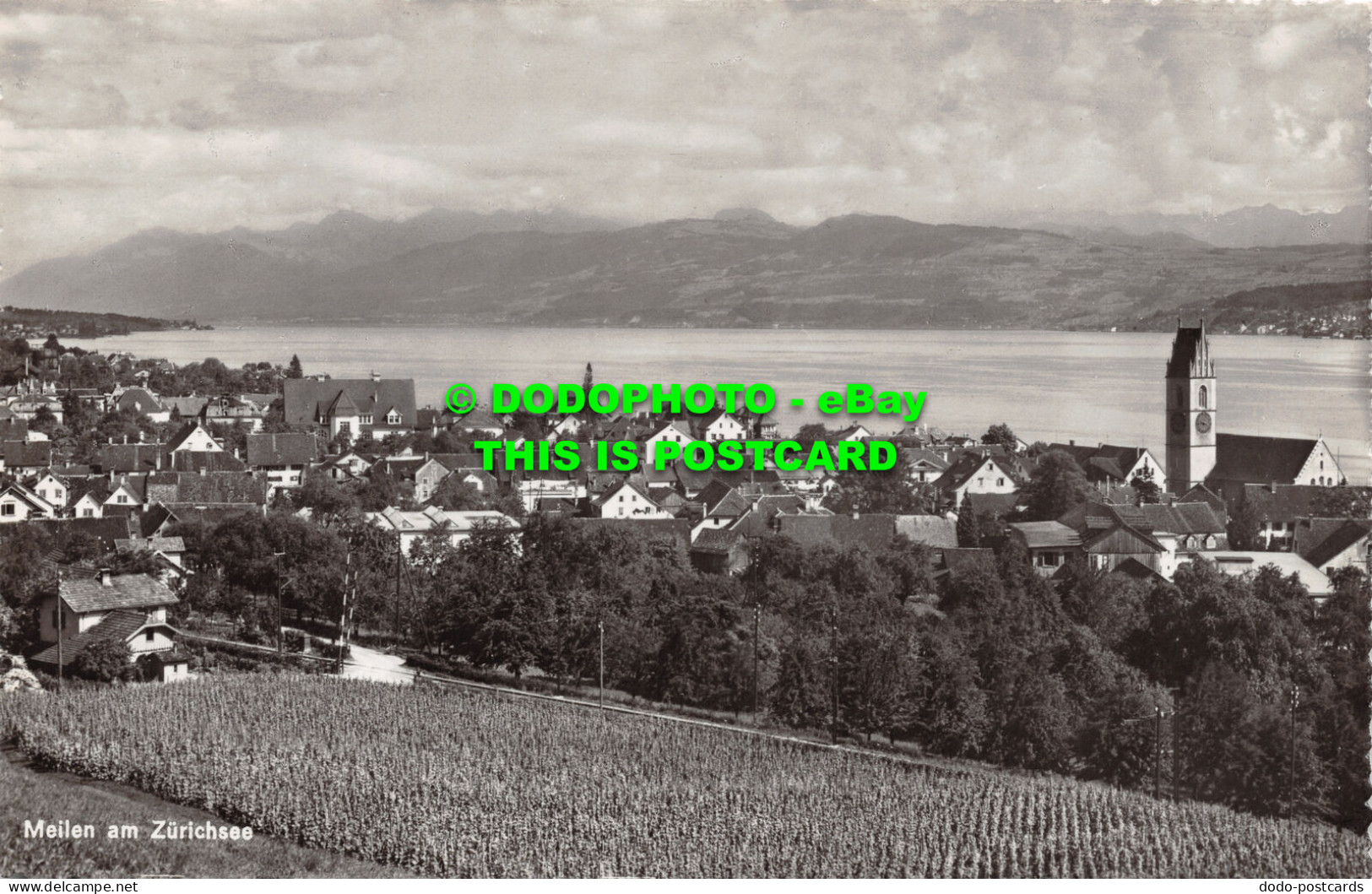 R504465 Meilen Am Zurichsee. 7936. Photoglob Wehrli A. G - Mondo