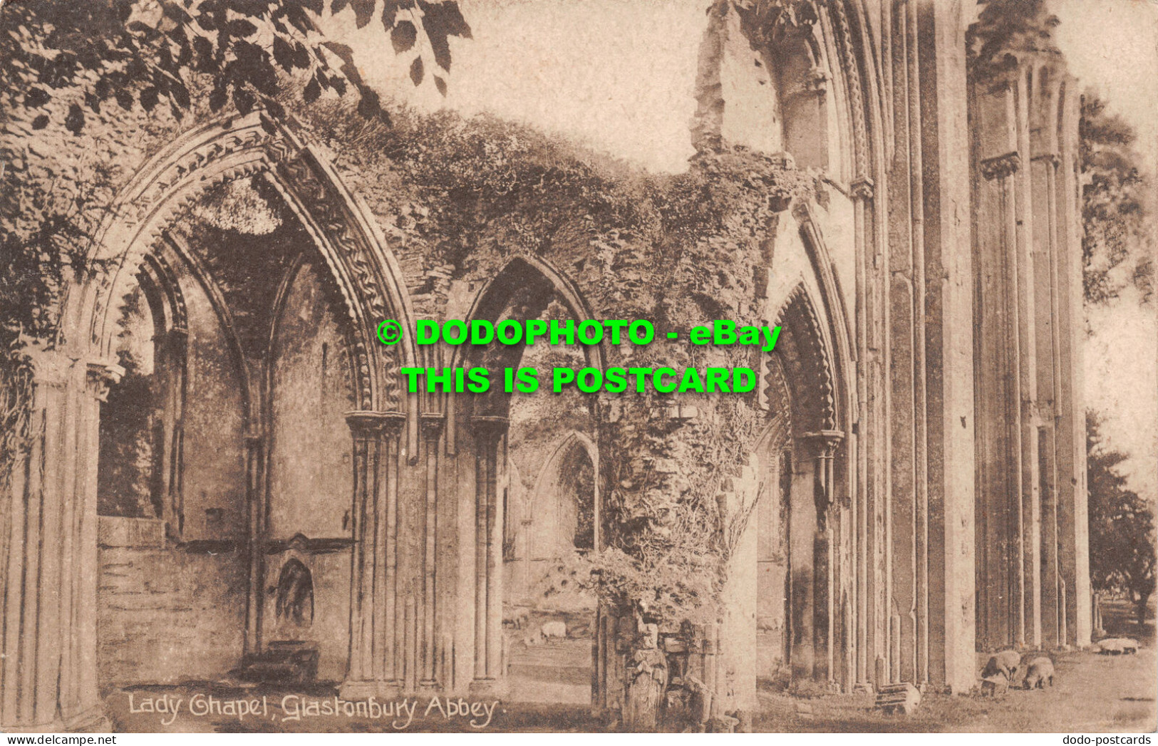 R504213 Lady Chapel. Glastonbury Abbey. Goodall. Wilkinsons Series. Glastonbury - Mondo