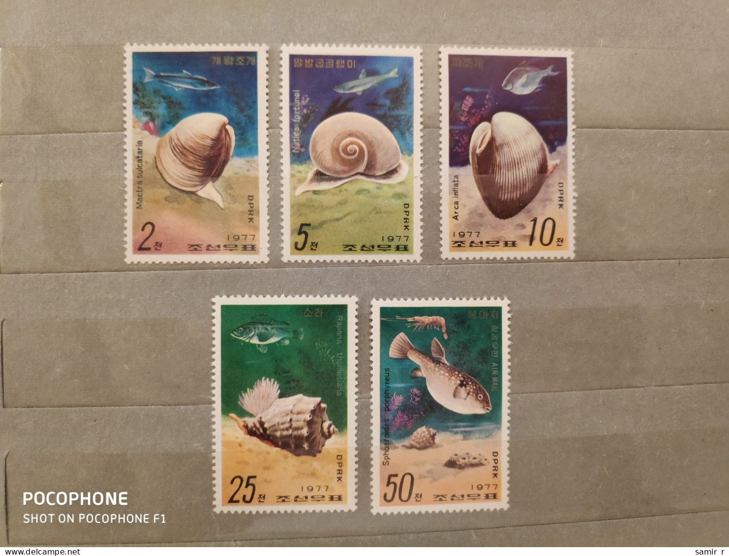 1977	Korea	Fishes Shells  (F94) - Corée Du Nord