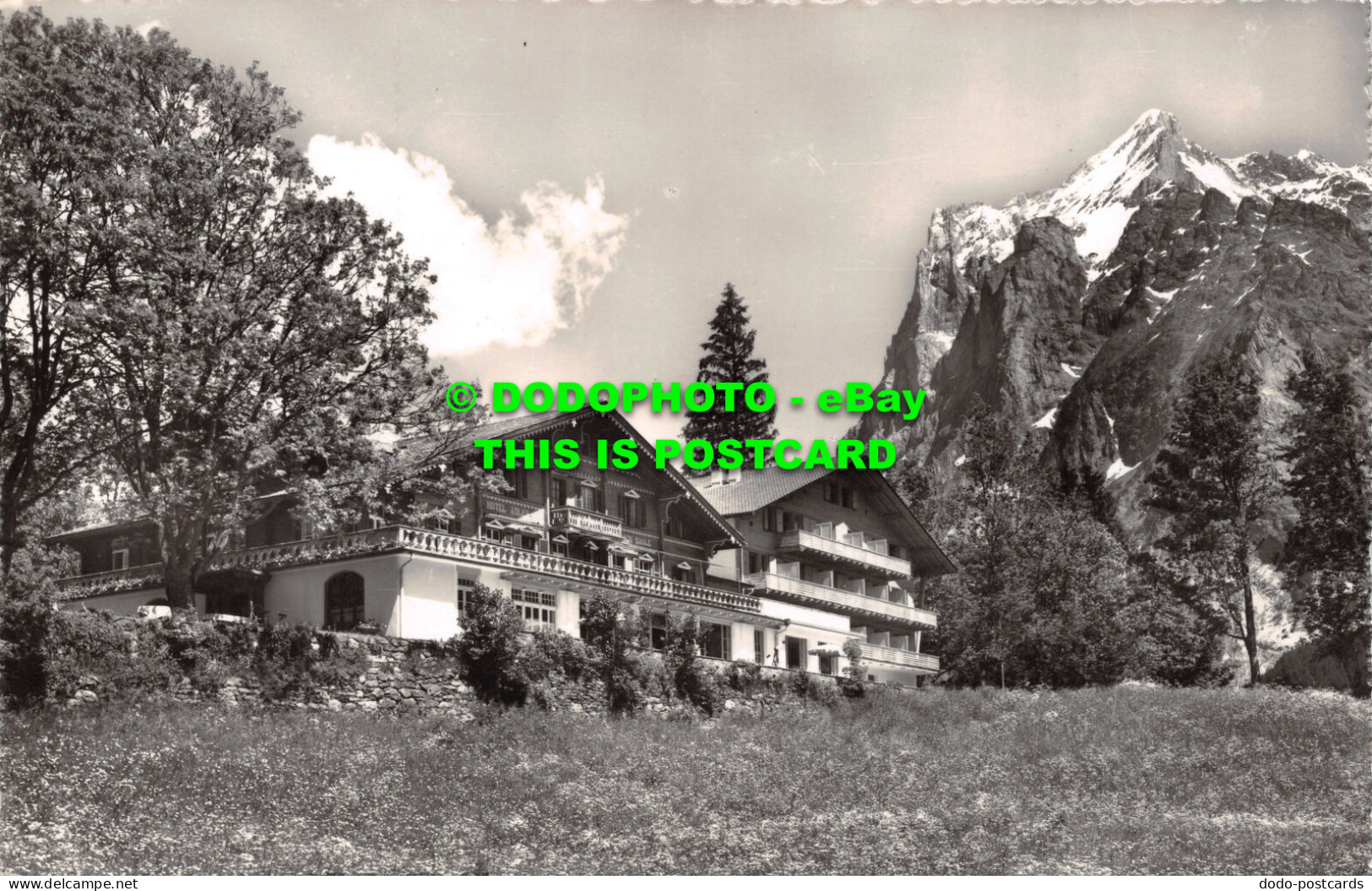 R504484 Hotel Adler. Grindelwald Mit Wetterhorn. E. Schudel. Haus. 2448. 1953 - World