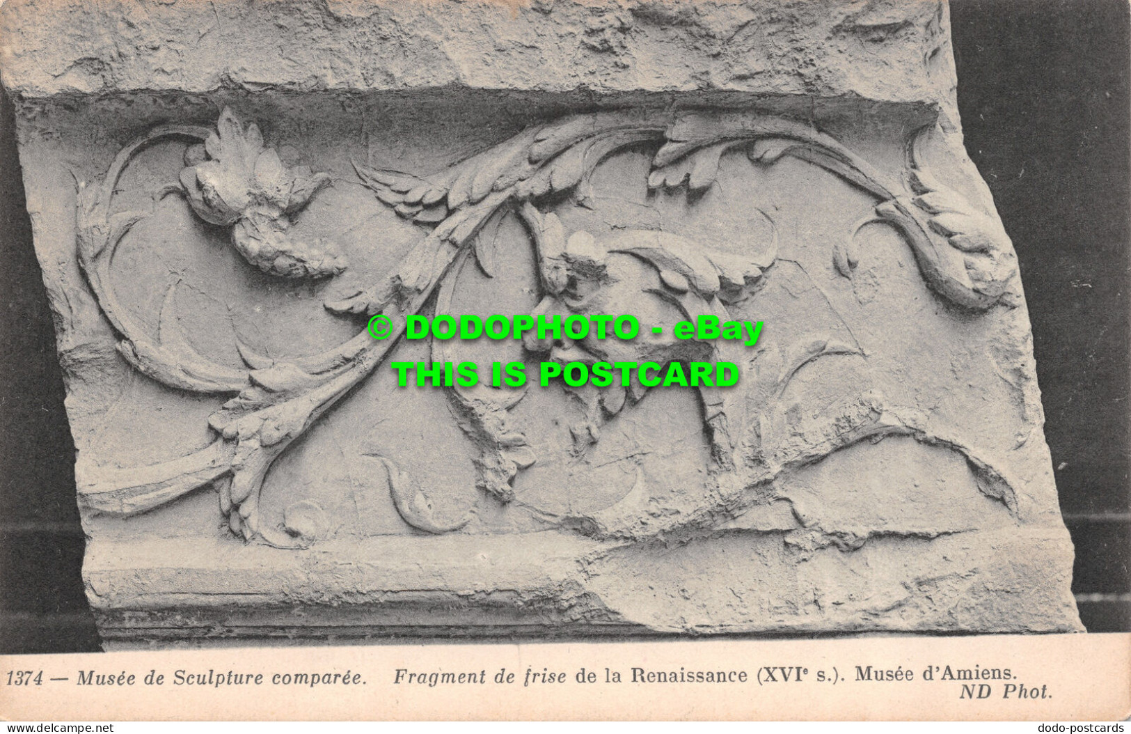 R504486 1374. Musee De Sculpture Comparee. Fragment De Frise De La Renaissance. - World