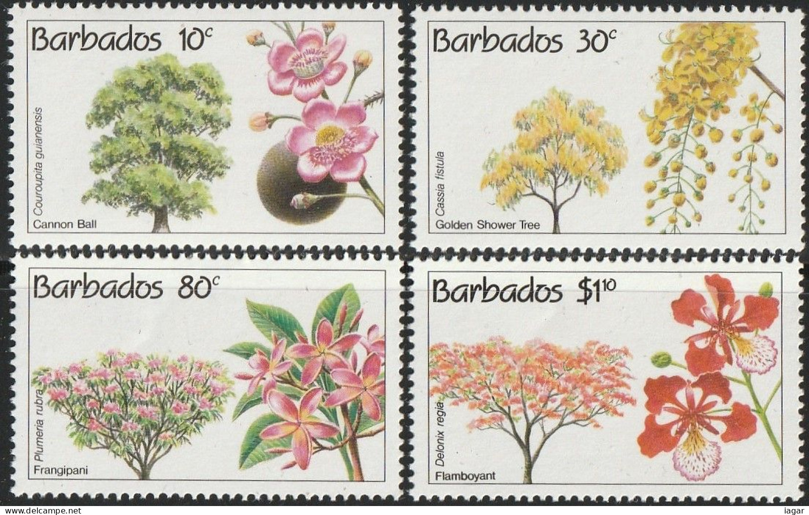 THEMATIC FLORA: FLOWERING TREES. CONSERVATION. CANNON BALL, SHOWER TREE, FRANGIPANI, FLAMBOYANT    -    BARBADOS - Árboles