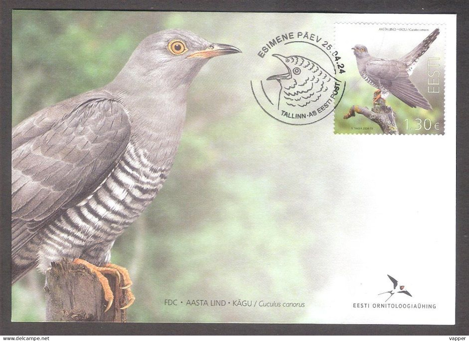 Bird Of The Year -the Common Cuckoo Estonia 2024  Stamp FDC Mi 1103 - Cuckoos & Turacos