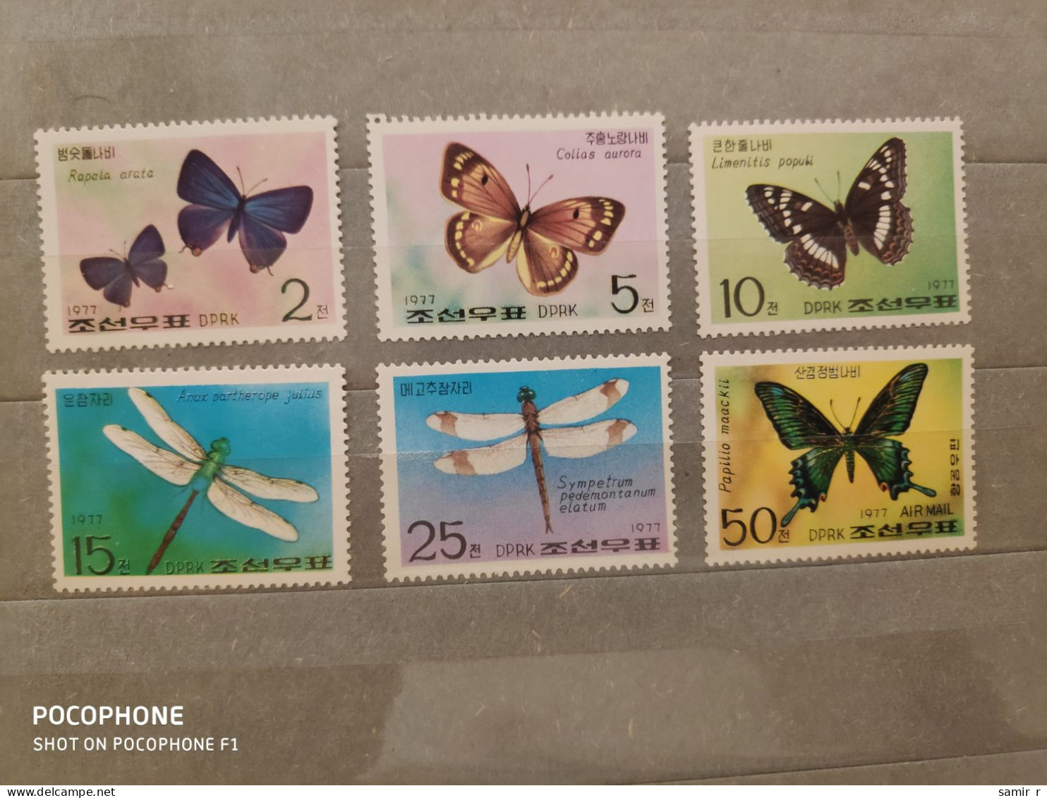 1977	Korea	Butterflies (F94) - Corée Du Nord