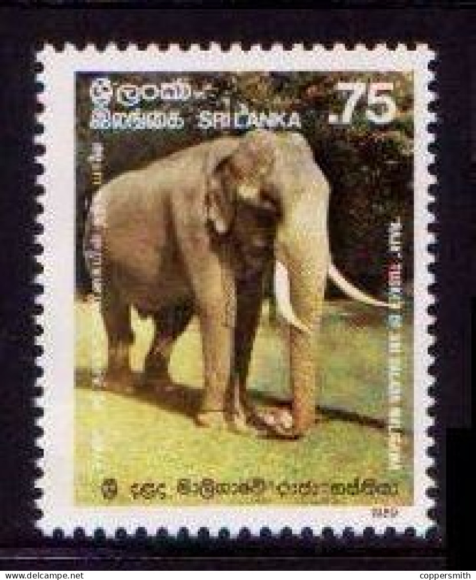 (0312) Sri Lanka 1989 / Fauna / Animals / Elephant / Tiere / Dieren / Elefant / Read ** / Mnh Michel 896 - Sri Lanka (Ceylon) (1948-...)