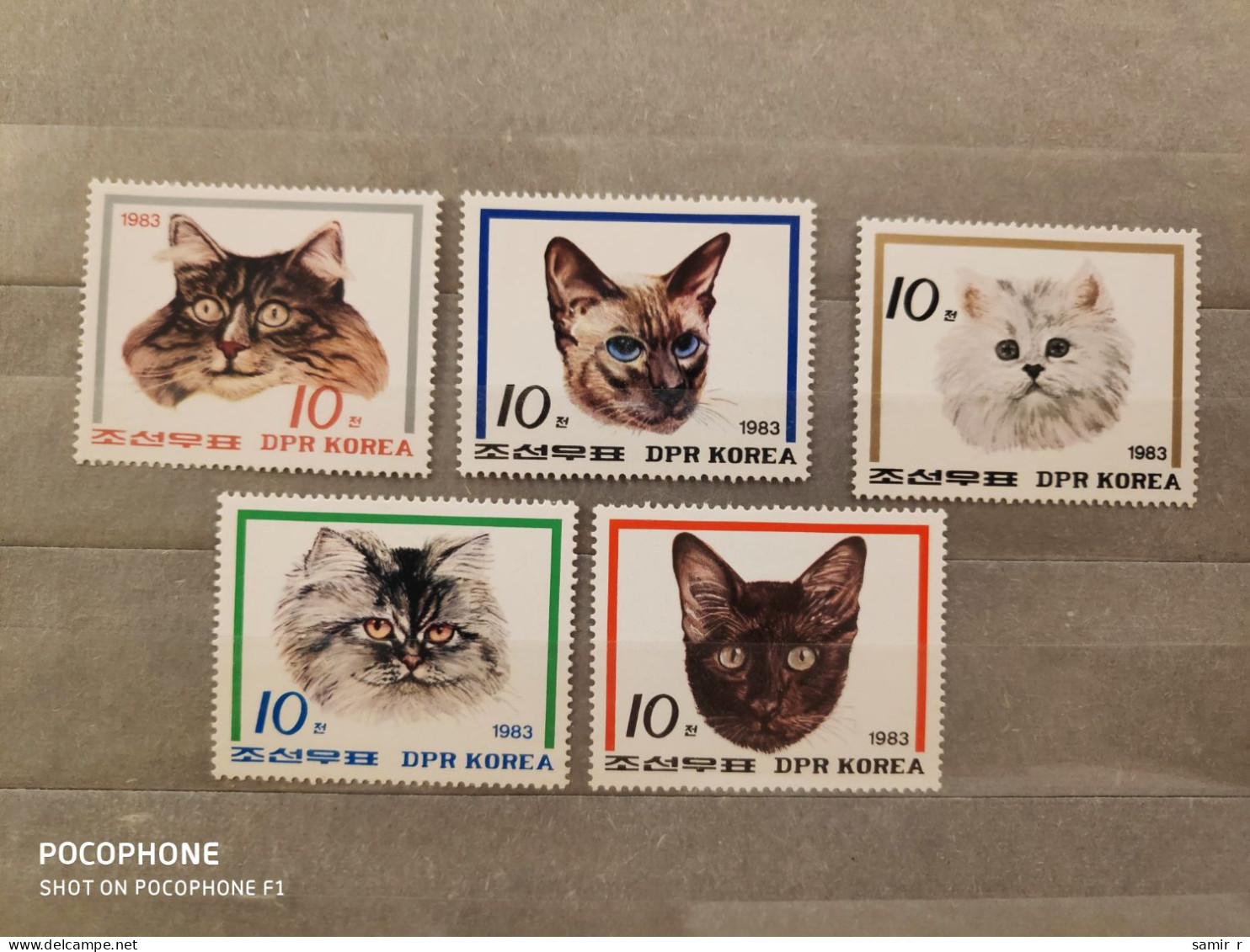 1983	Korea	Cats (F94) - Korea, North