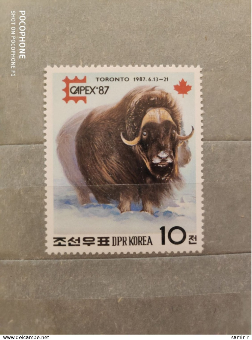 1987	Korea	Bulls (F94) - Corée Du Nord