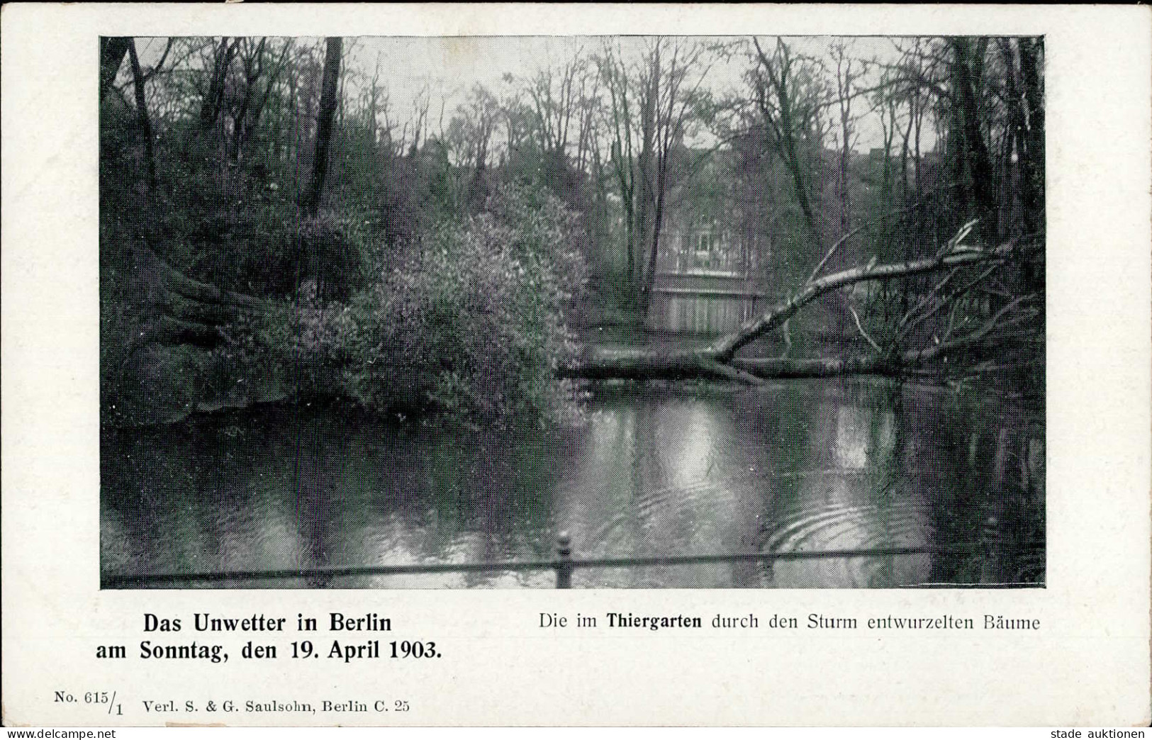 Berlin (1000) Unwetter In Berlin Am 19. April 1903 Tiergarten I-II - Ploetzensee