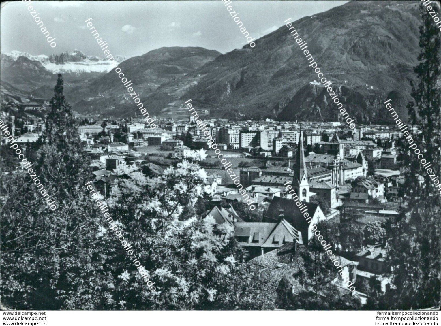 Bm223 Cartolina Bolzano Panorama Verso Il Catinaccio - Bolzano (Bozen)