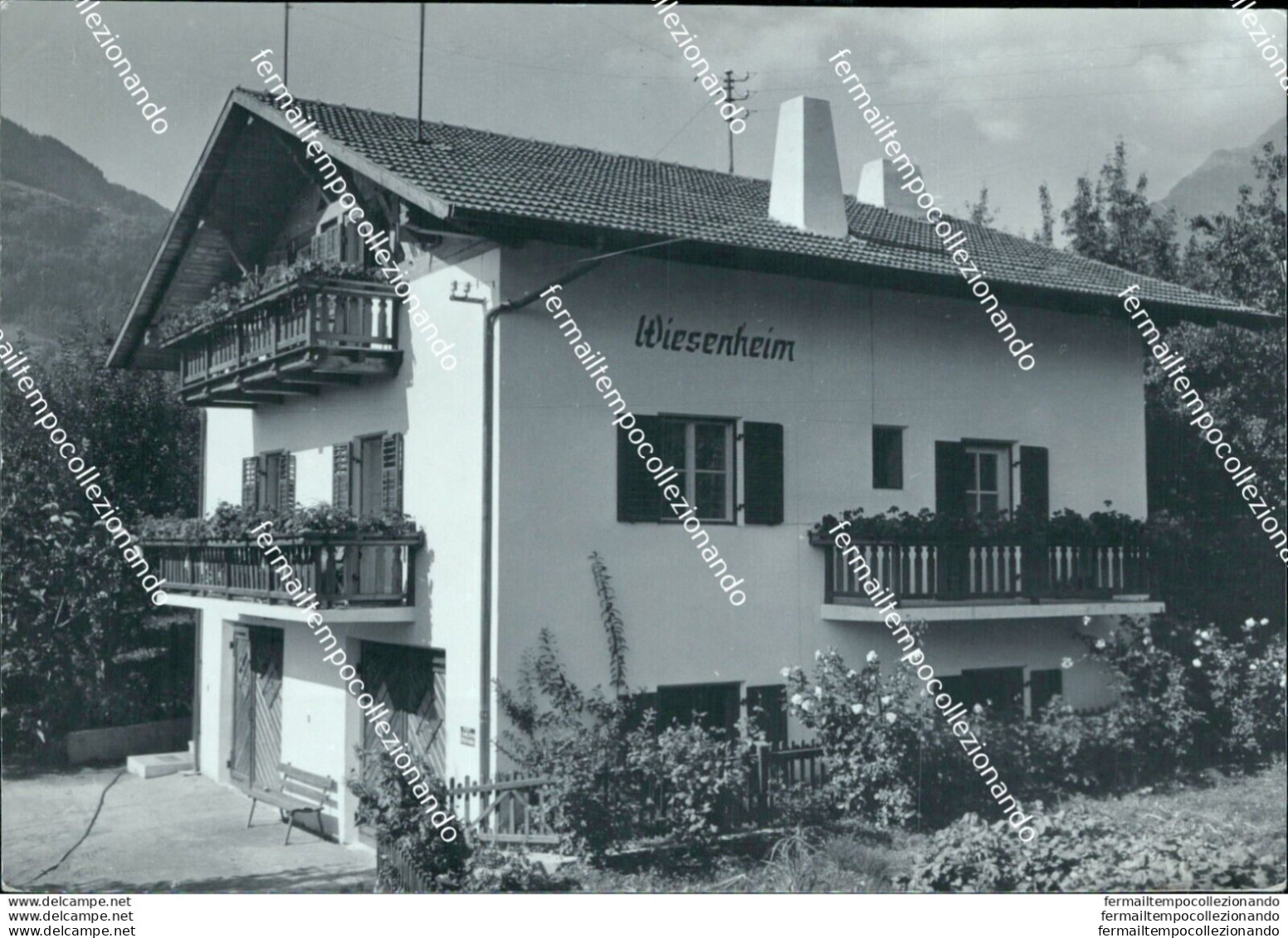 Bm234 Cartolina Haus Wiesenheim Garni Algund Bei Meran Merano Bolzano - Bolzano (Bozen)