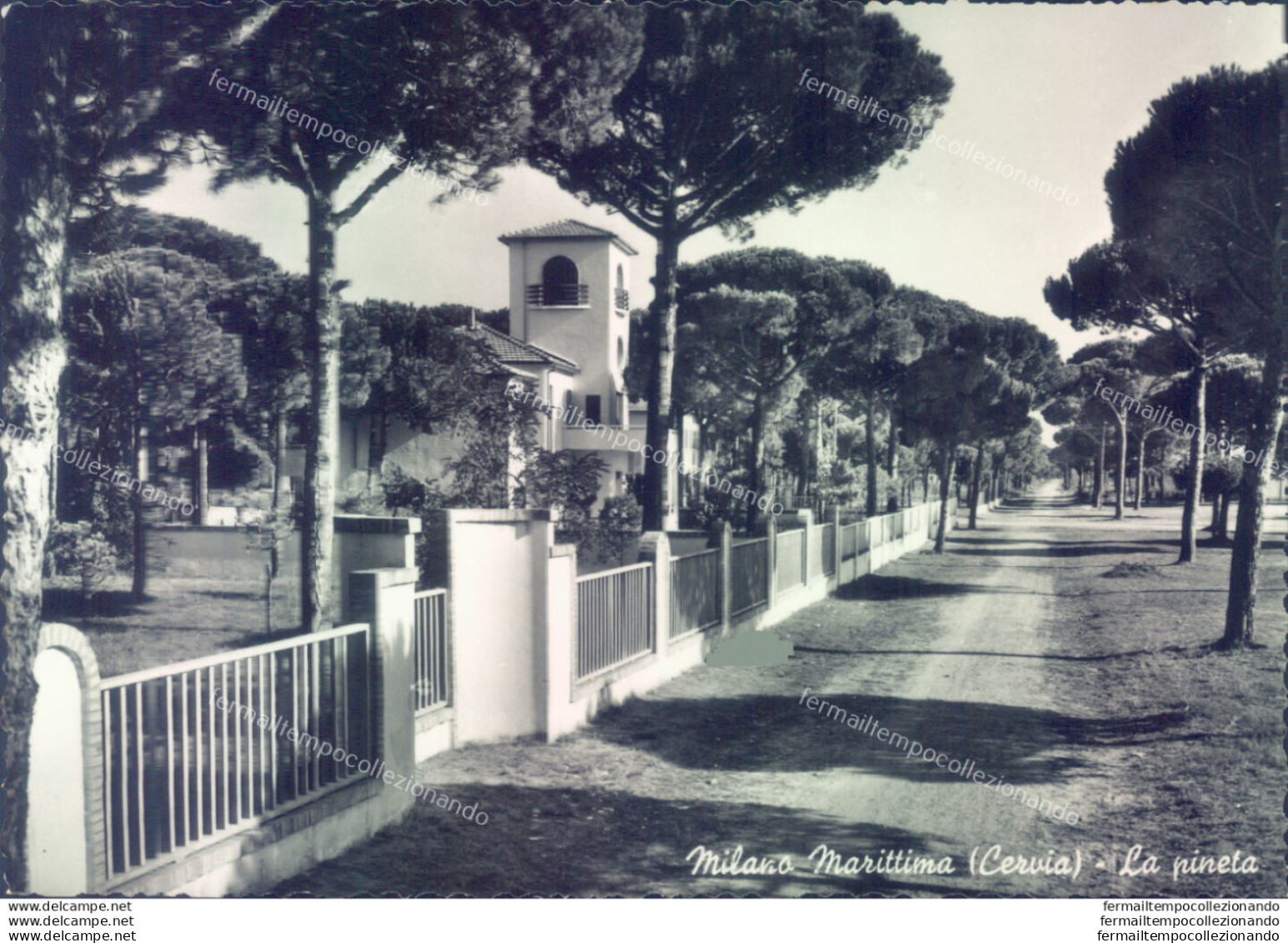 Ag486 Cartolina Milano Marittima La Pineta Provincia Di Ravenna - Ravenna