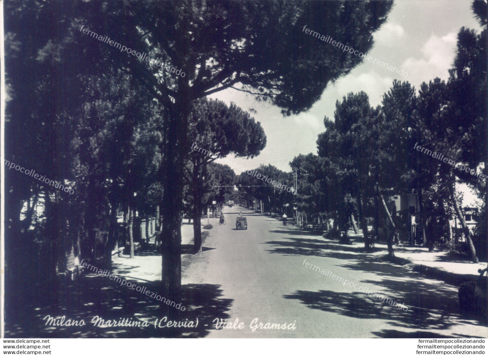 Ag485 Cartolina Milano Marittima Viale Gramsci Provincia Di Ravenna - Ravenna