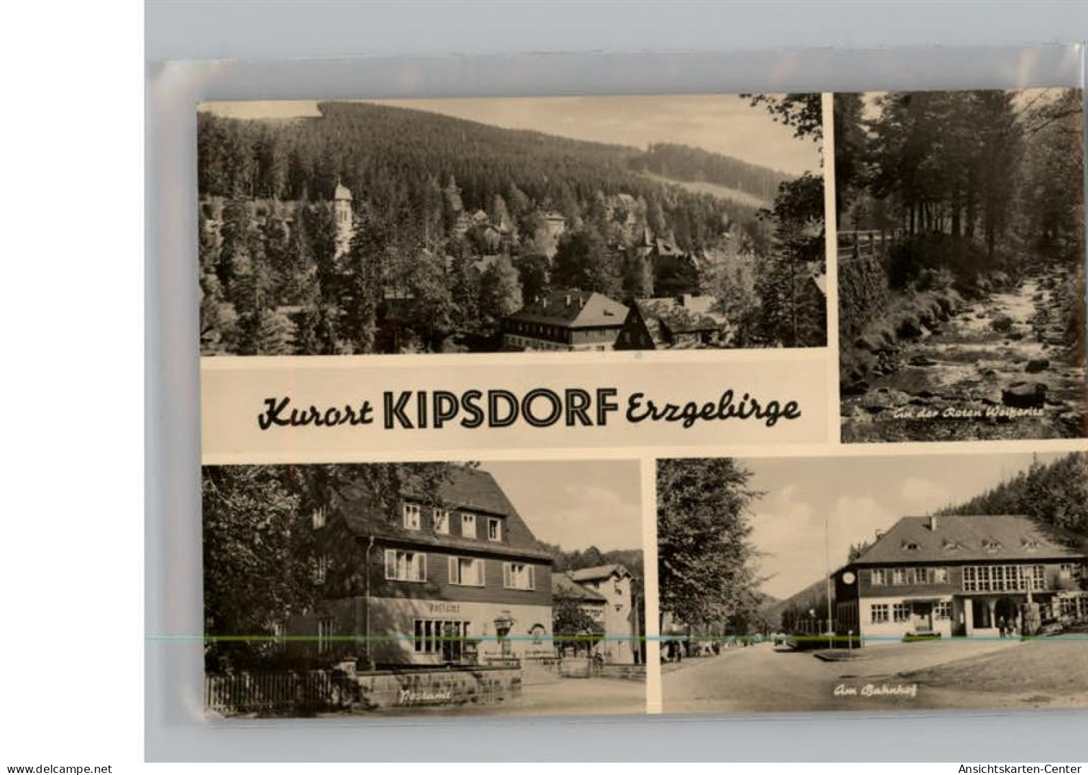 50206305 - Kipsdorf - Altenberg