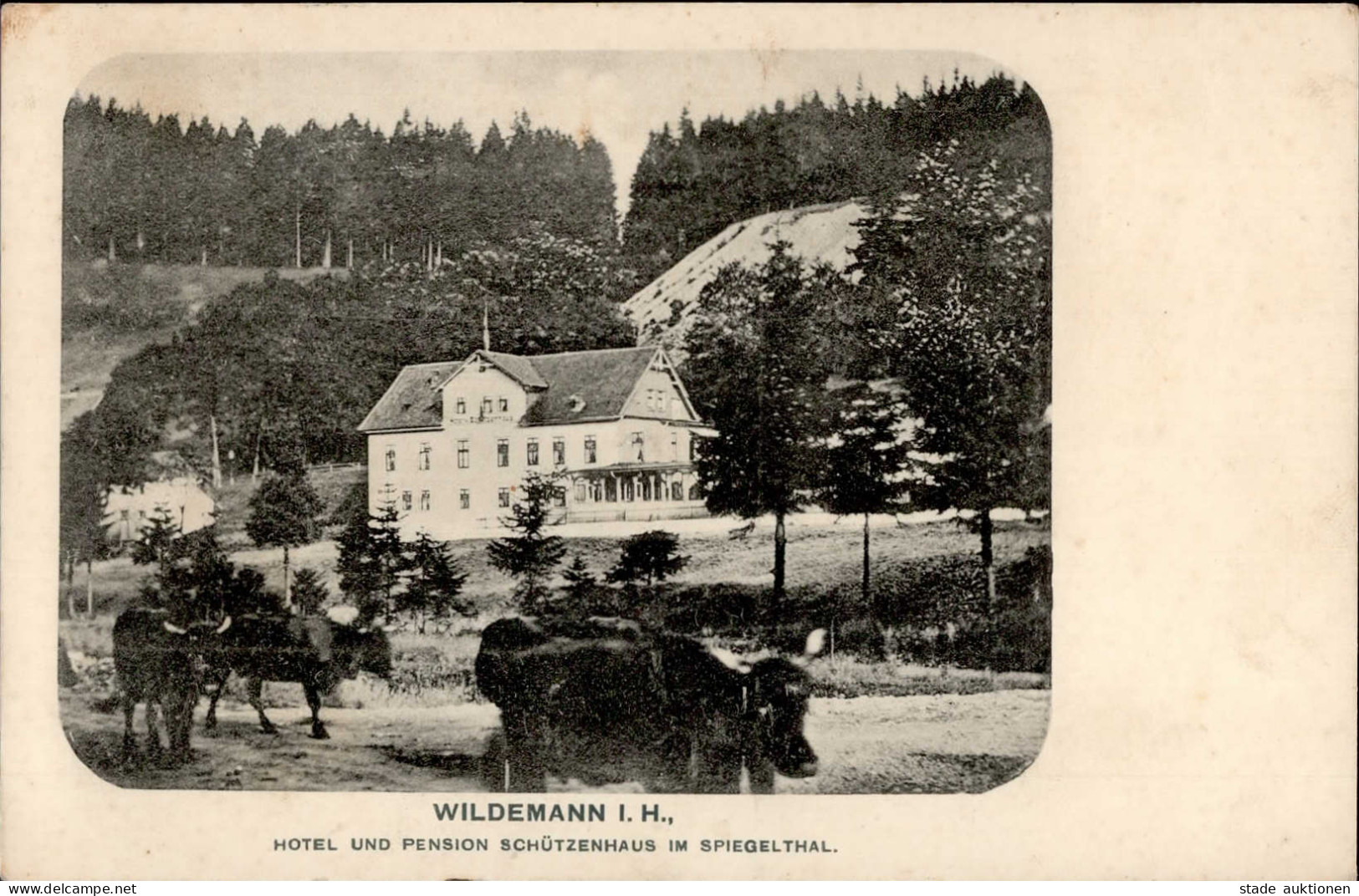 Wildemann (3391) Hotel Schützenhaus 1916 I- - Other & Unclassified