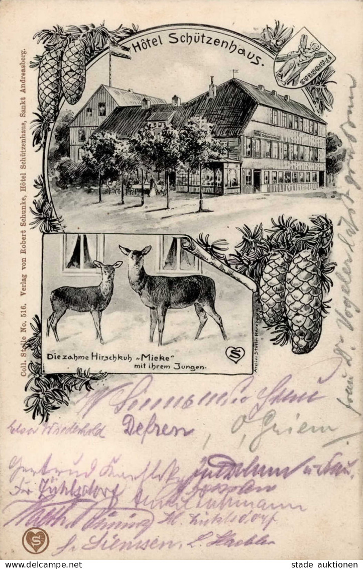 St. Andreasberg (3424) Hotel Schützenhof Hirschkuh Mieke 1914 I-II - Bad Sachsa