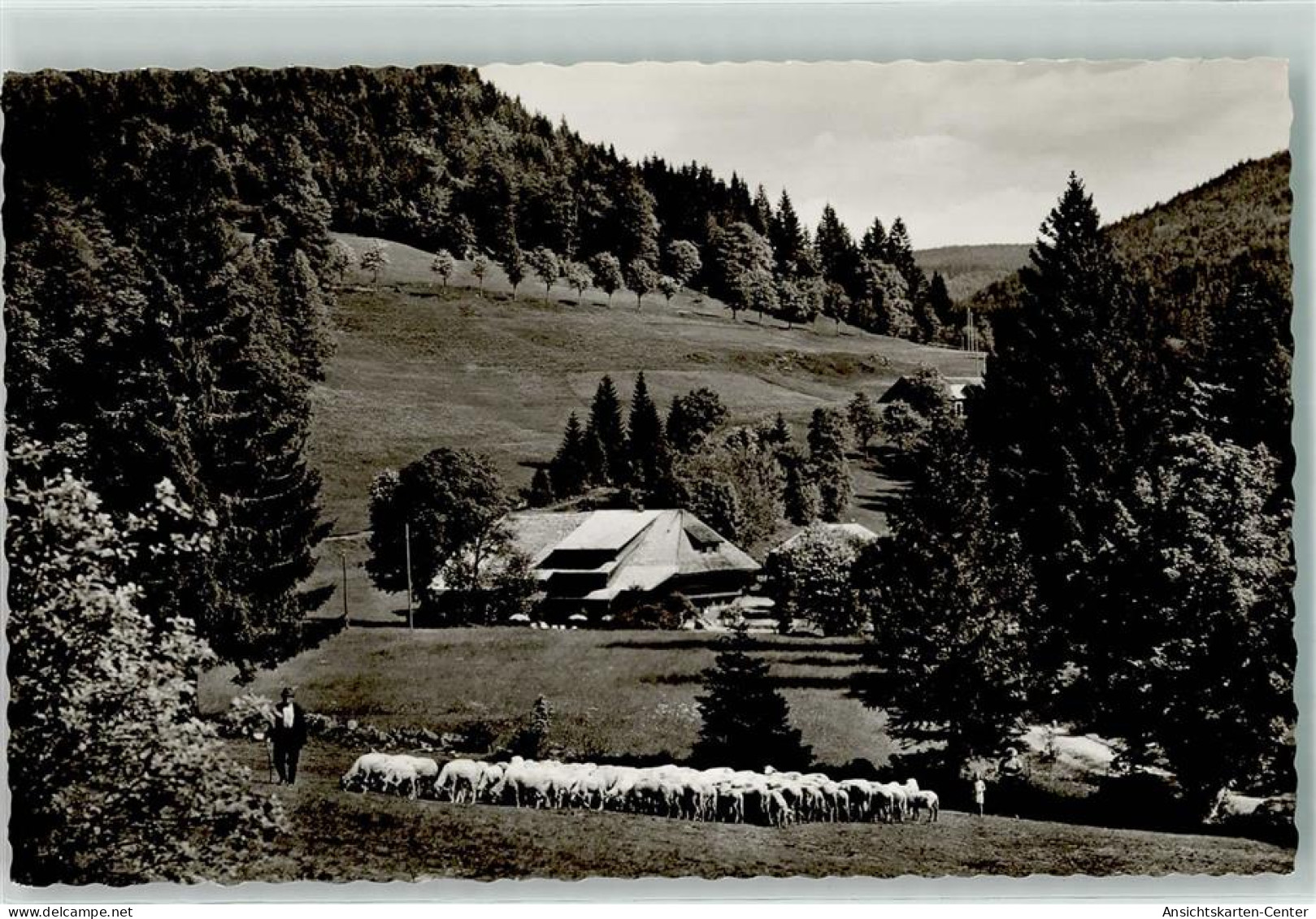 39391005 - Multen Im Schwarzwald - Lörrach