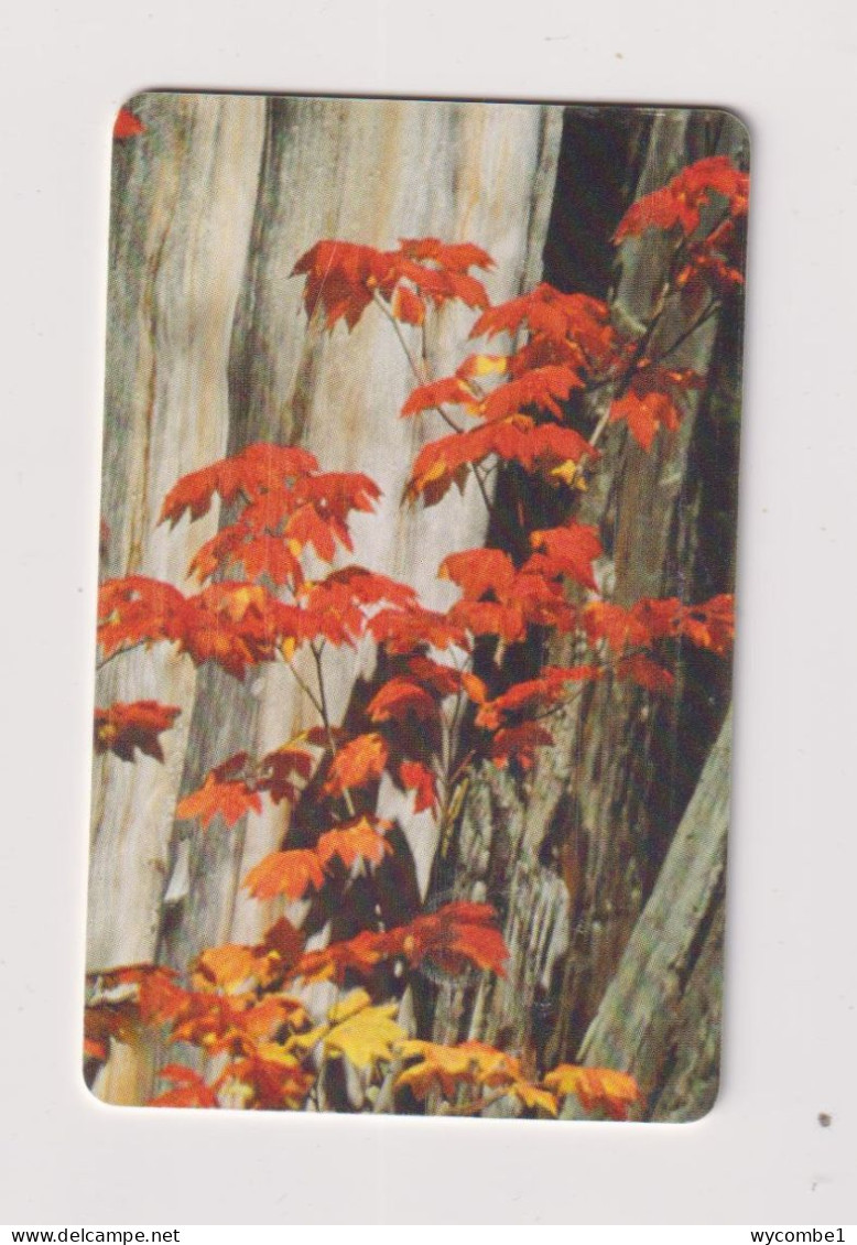 ROMANIA -  Autumn Leaves Chip  Phonecard - Roumanie