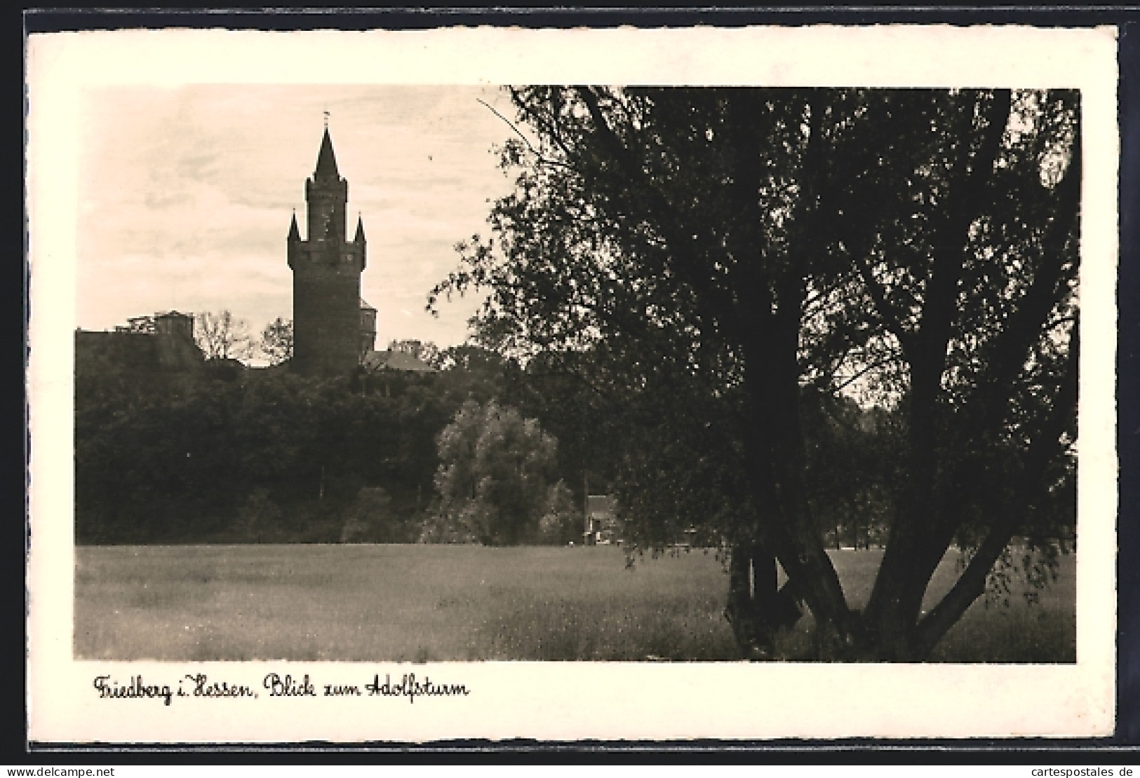 AK Friedberg I. Hessen, Blick Zum Adolfsturm  - Friedberg