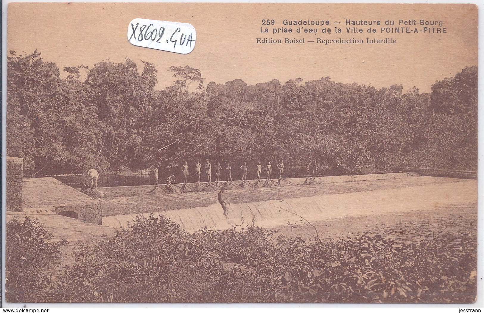 LE PETIT BOURG- PRISE D EAU DE LA VILLE DE POINTE-A-PITRE - Pointe A Pitre