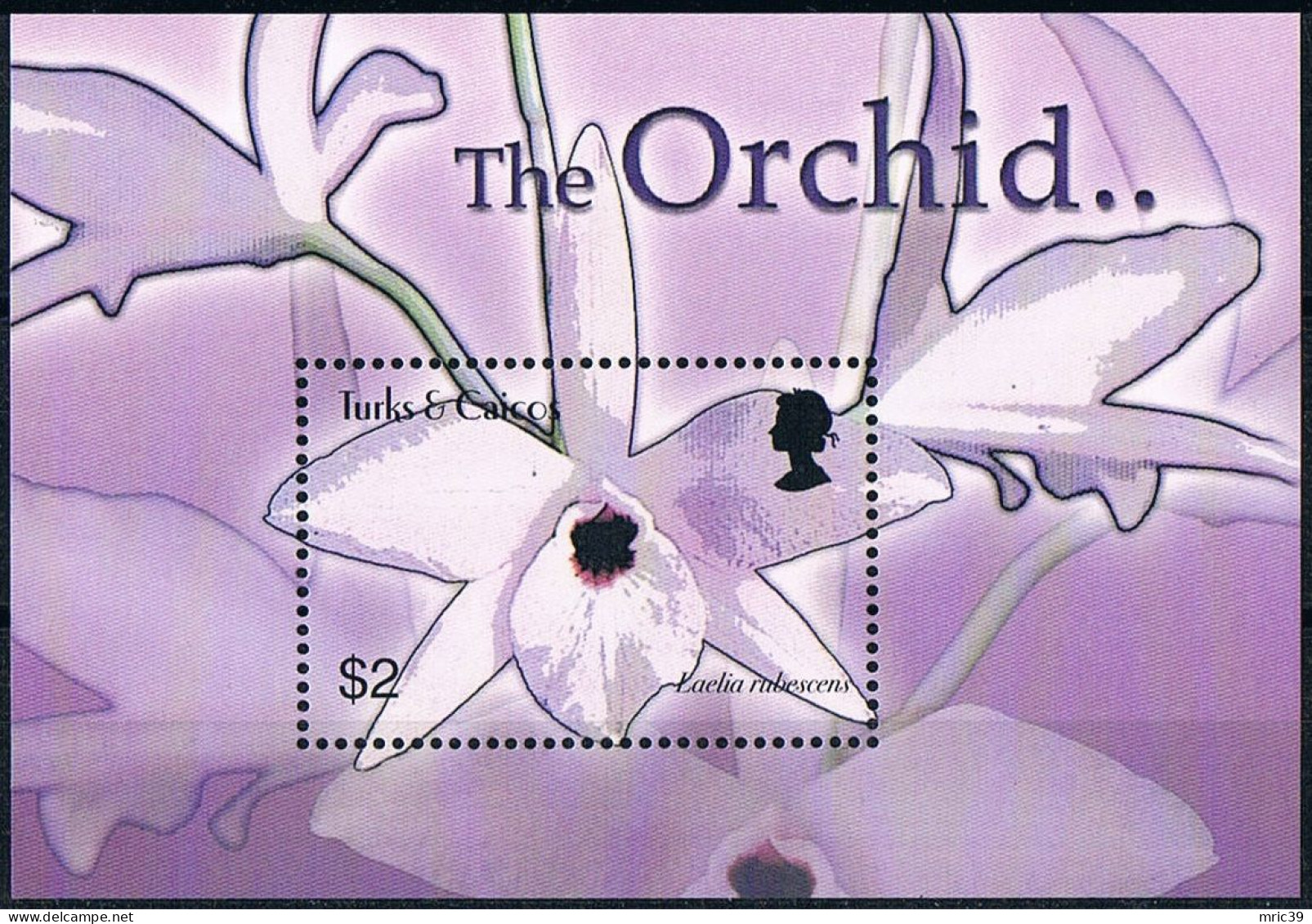 Bloc Sheet Fleurs Orchidées Flowers Orchids  Neuf  MNH **  Turks & Caicos 2003 - Orquideas