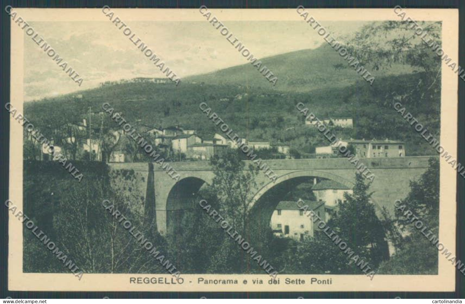 Firenze Reggello Cartolina ZB4831 - Firenze