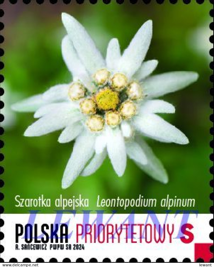 2024.04.25. Protected Plants - MNH - Nuovi