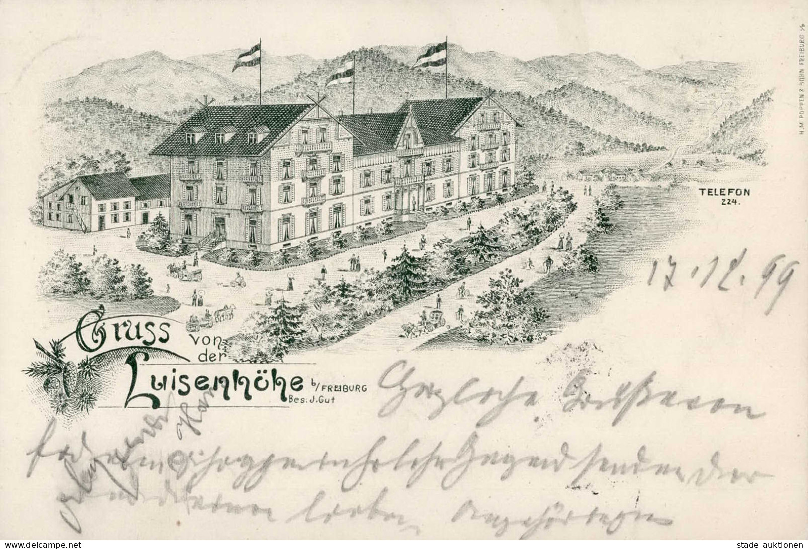 Freiburg Im Breisgau (7800) Gruss Von Der Luisenhöhe 1899 I-II Montagnes - Freiburg I. Br.