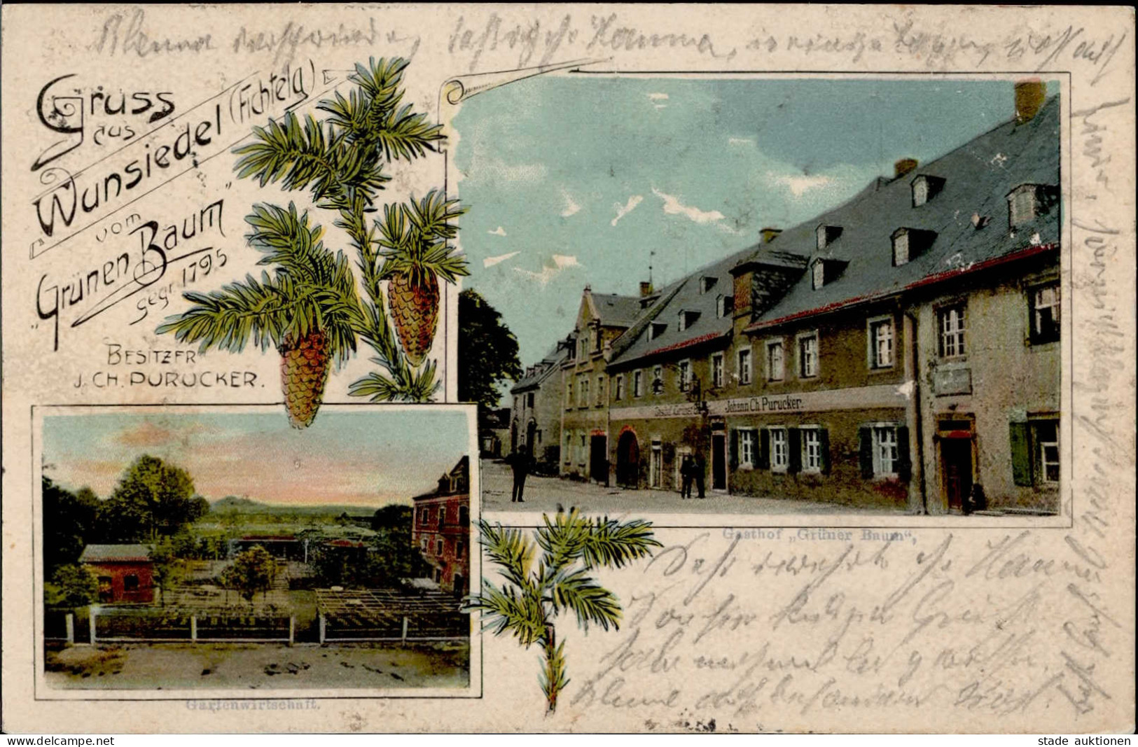 Wunsiedel (8592) Gasthaus Zum Grünen Baum 1906 I- - Wunsiedel