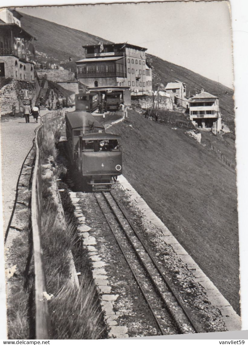 SWITZERLAND-SCHWEIZ-SUISSE-SVIZZERA-LUGANO-MONTE GENEROSO-CARTOLINA VERA PHOTO VIAGGIATA 14-8-1959 - Lugano