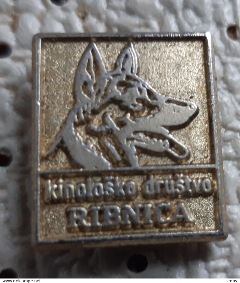 Kennel Club KD Ribnica German Shepherd Dog Deutscher Schäferhund Slovenia Pin - Animali