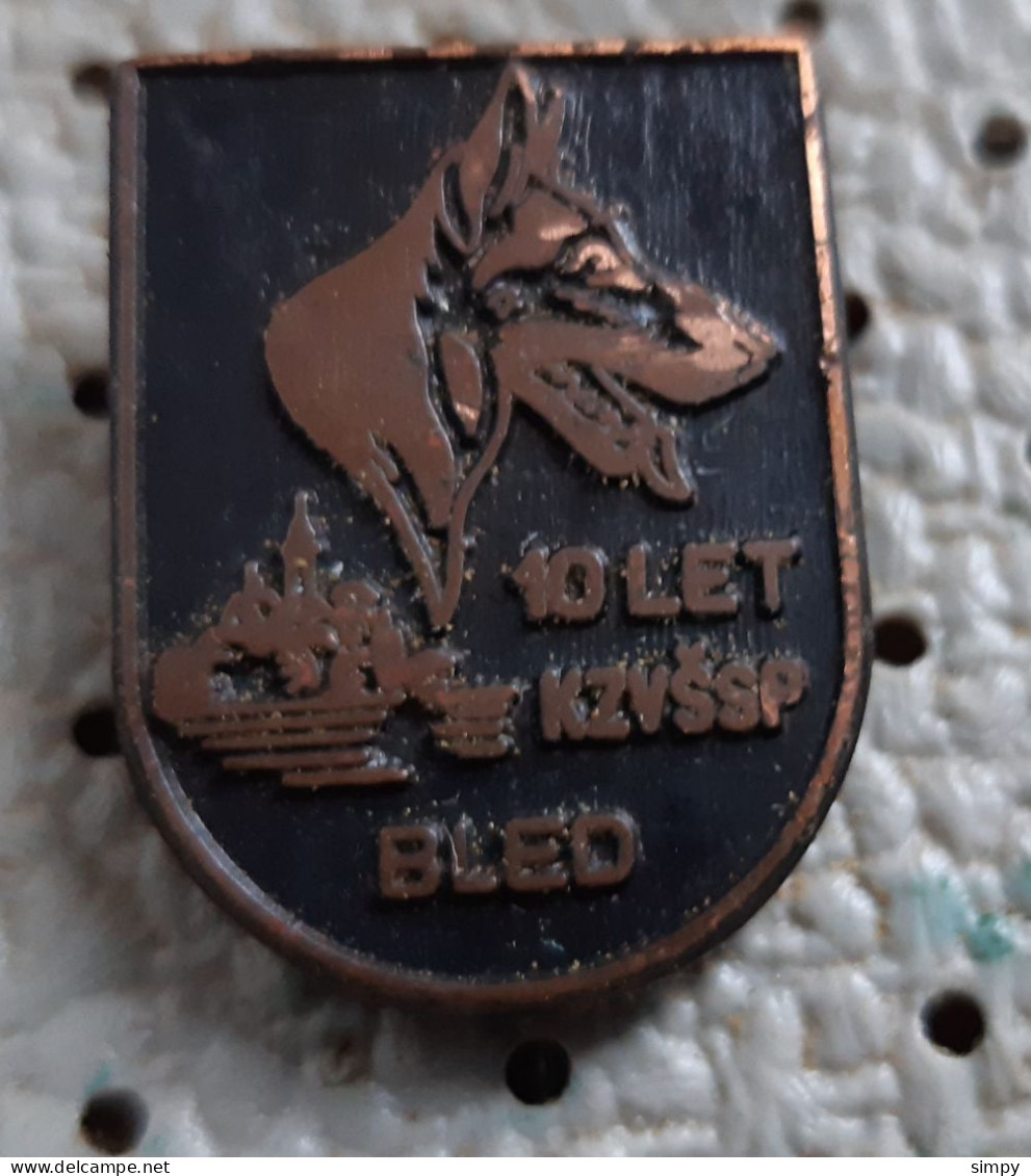 Kennel Club KD Bled 10 Years German Shepherd Dog Deutscher Schäferhund Slovenia Pin - Tiere