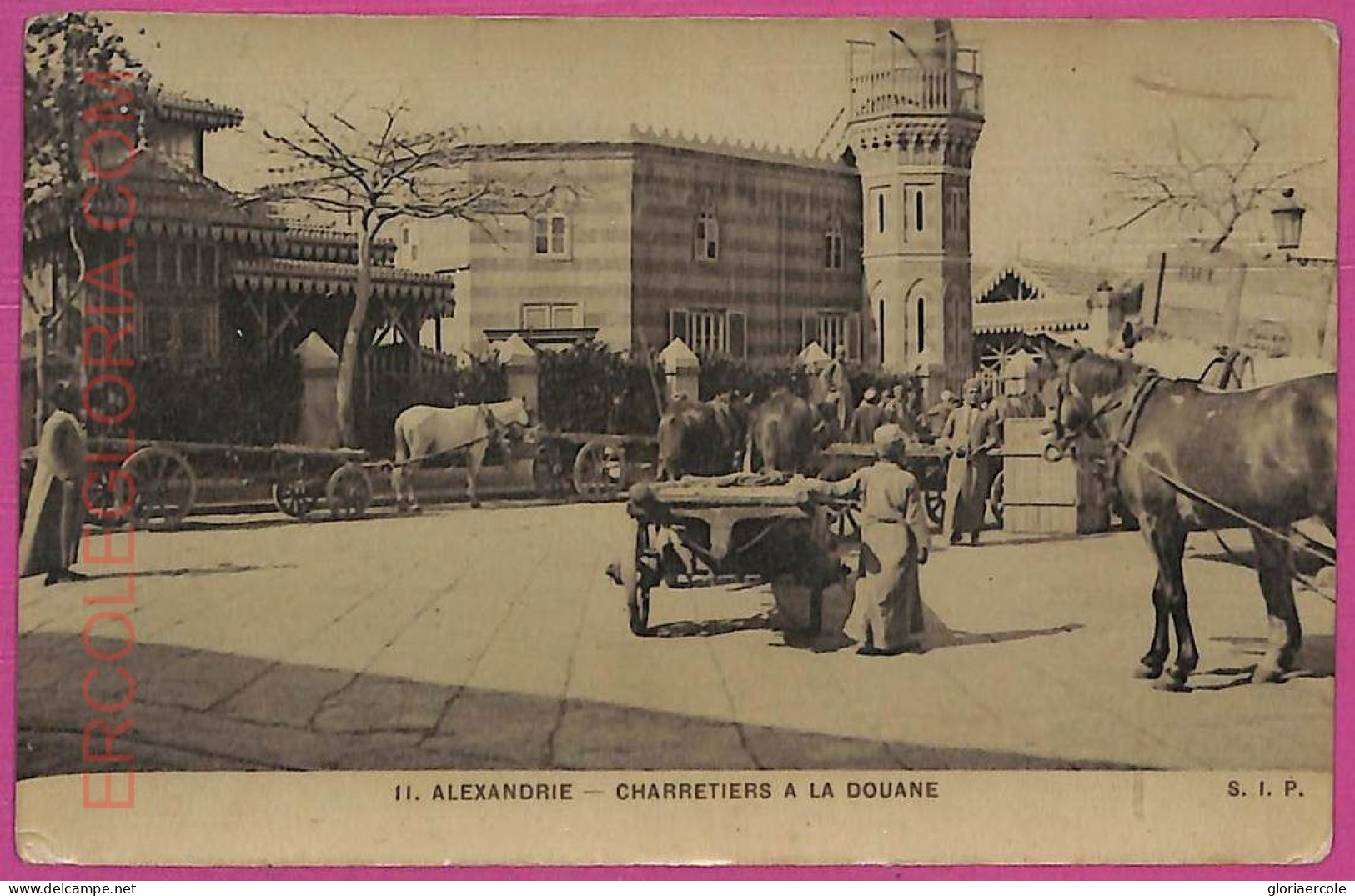 Ag2859 - EGYPT - VINTAGE POSTCARD - Alexandria - Real Photo - Alexandrië