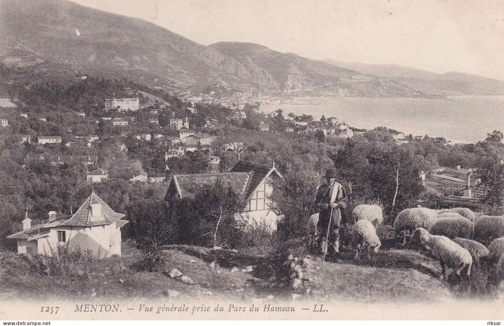 MENTON(BERGER) MOUTON - Menton