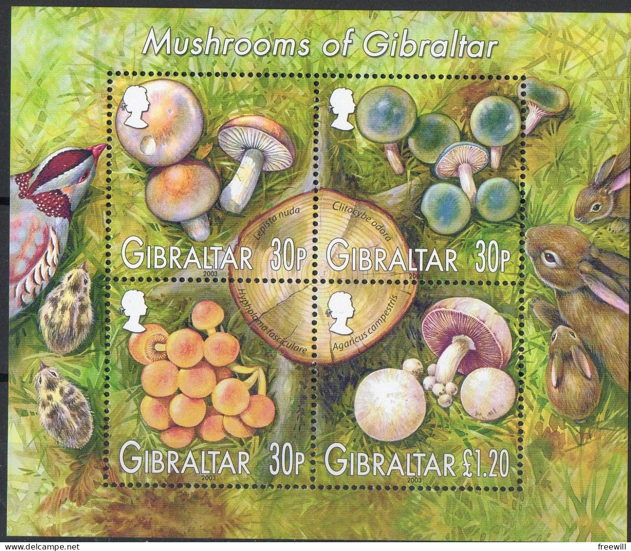 Gibraltar Champignons- Mushrooms XXX 2003 - Gibraltar