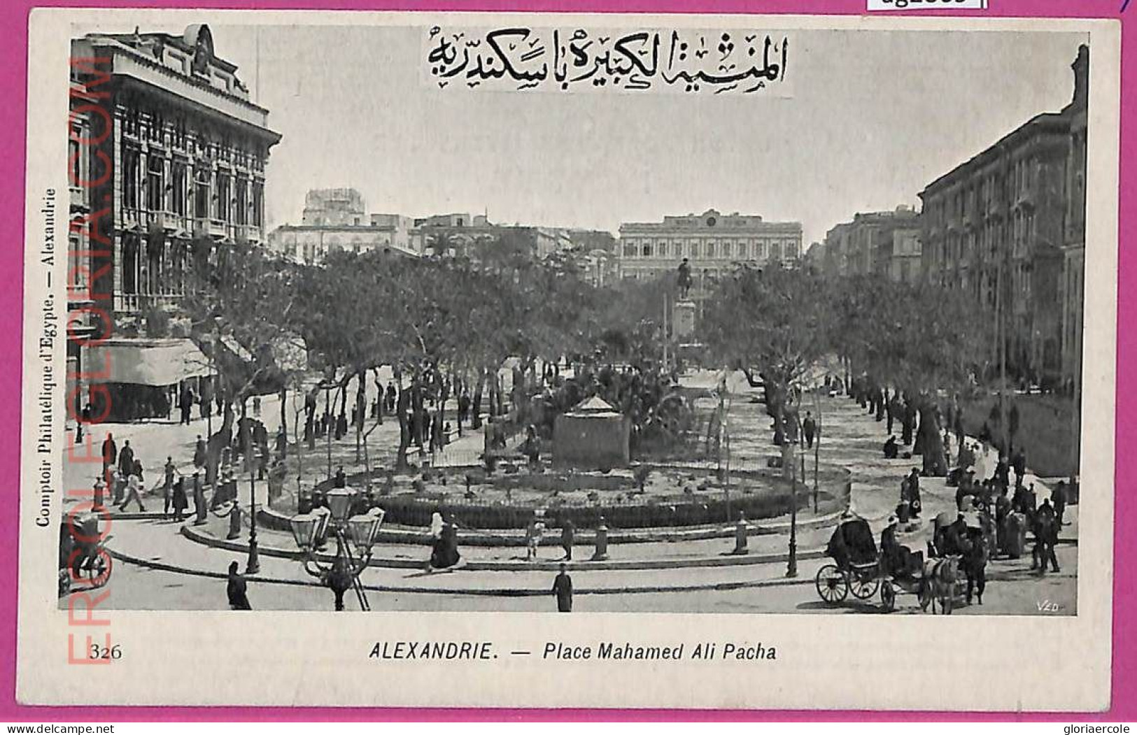 Ag2869 - EGYPT - VINTAGE POSTCARD - Alexandria - Alexandria