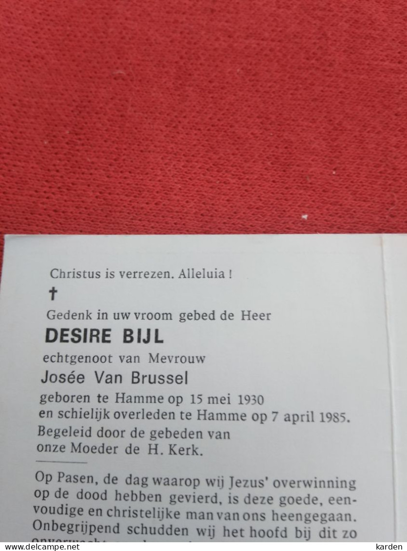 Doodsprentje Desire Bijl / Hamme 15/5/1930 - 7/4/1985 ( Josée Van Brussel ) - Religion & Esotérisme