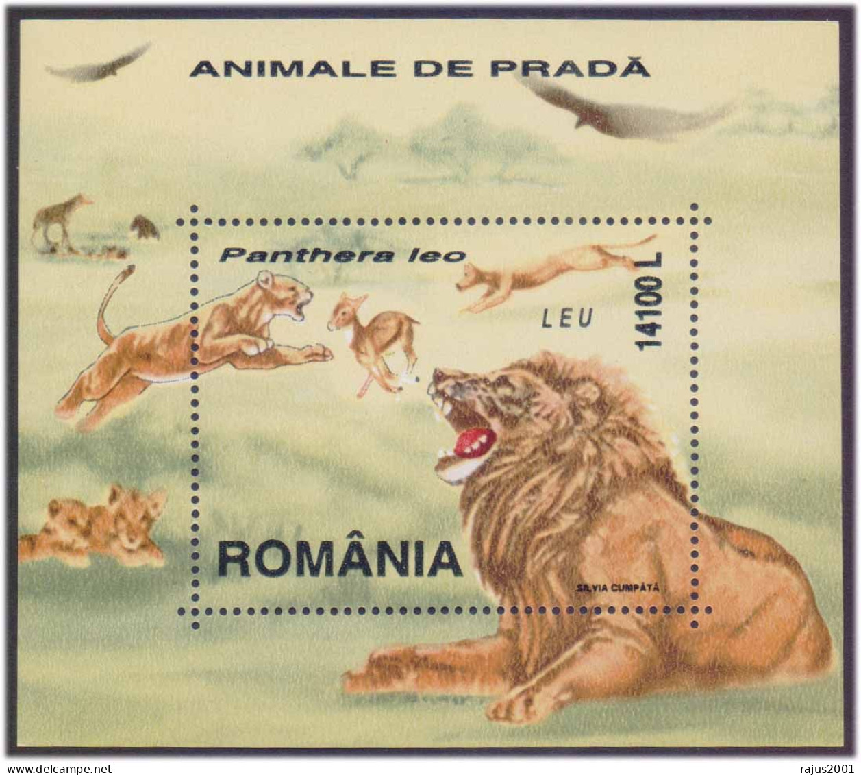 LION Wild Animal, Big Cat, Bird, Lion Cub, Romania MS MNH - Felini