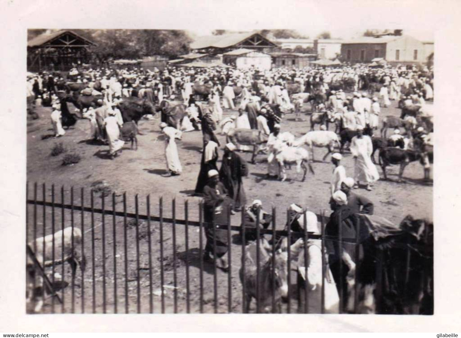 Photo Originale  - Egypte - Proche LE CAIRE 1932 - Les Souks - Lieux